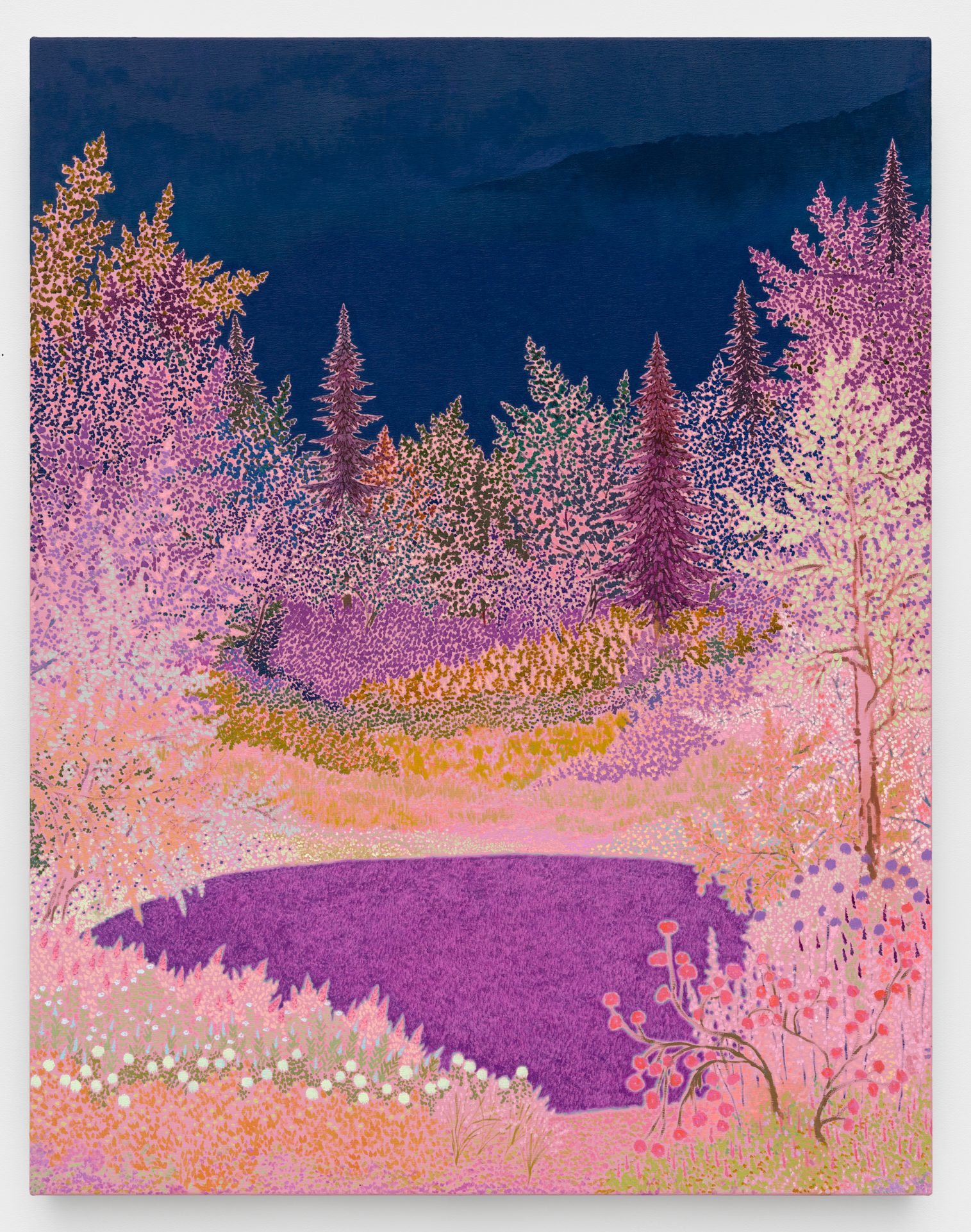 James Fuentes Gallery | sometimes splendid seemingstellar even